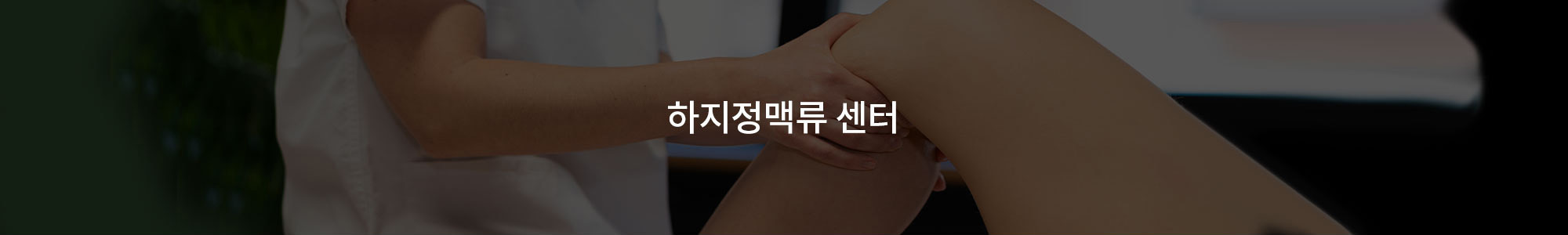 하지정맥류 센터