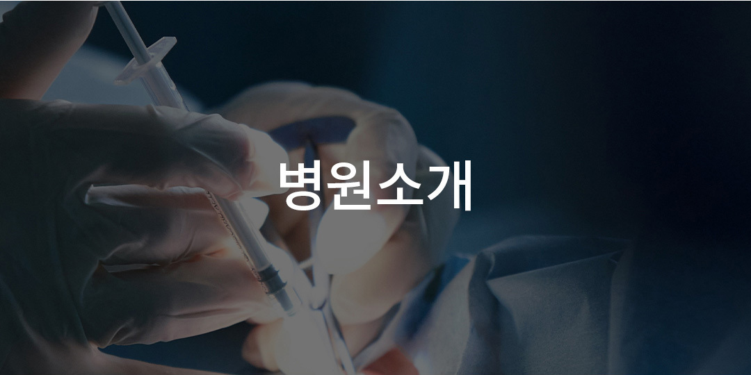 하지정맥류 센터